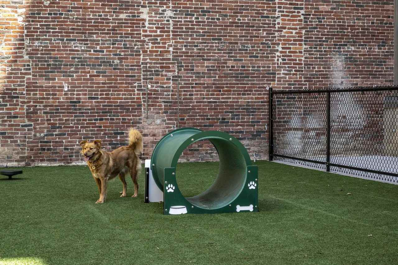 201 Canal - Photo 6 of 39