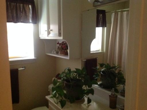 903 Camellia Ct #A - Photo 3 of 10