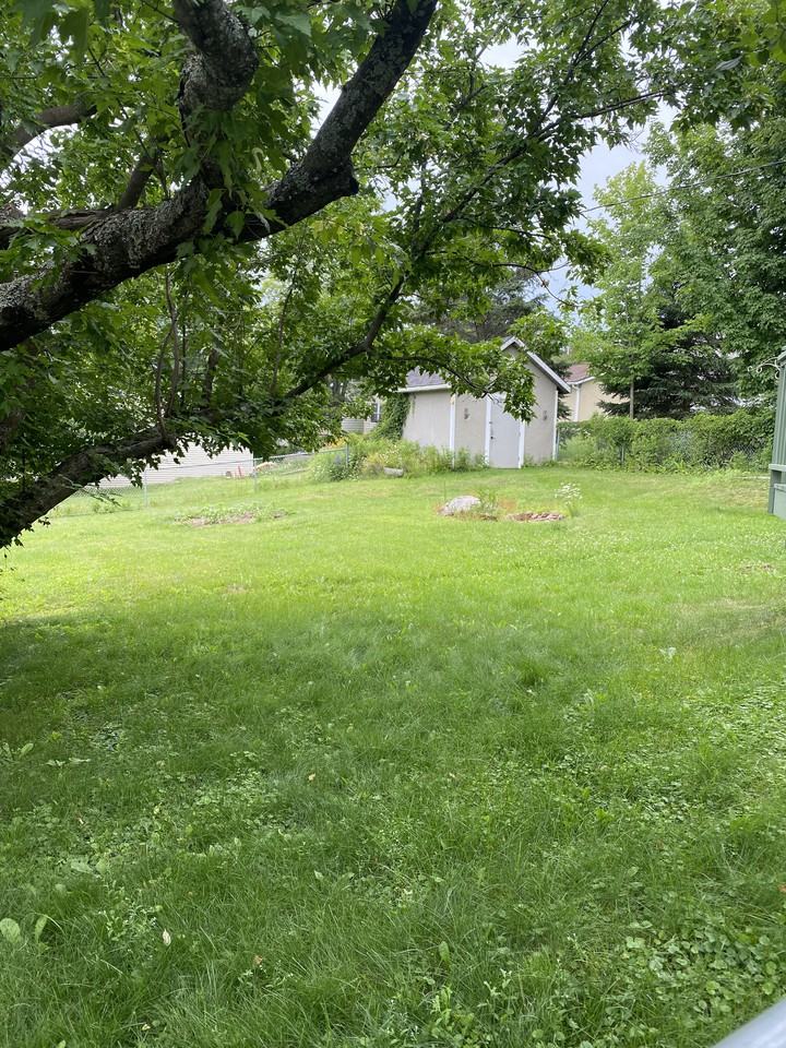 536 Park Street - Photo 7 of 34