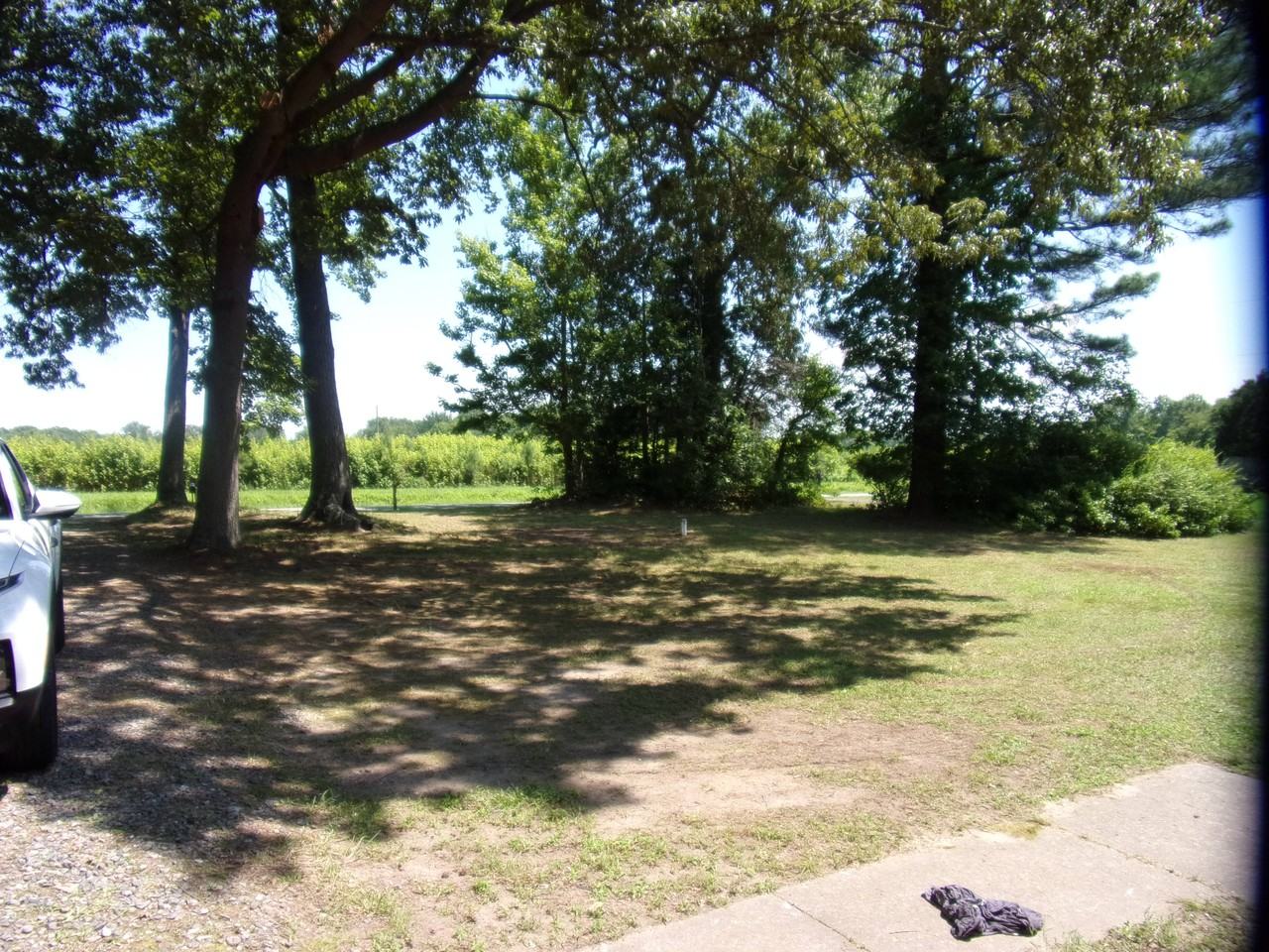 1185 Erica Rd - Photo 3 of 16