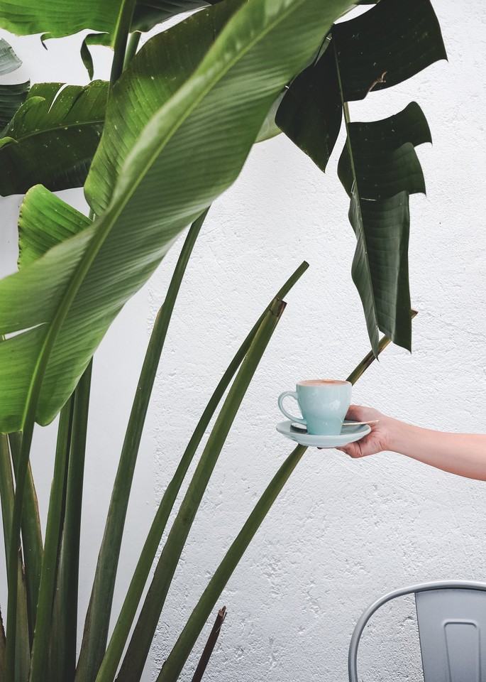 Hazel Apartments 23400 Highway 99, Edmonds, WA 98026 Zumper