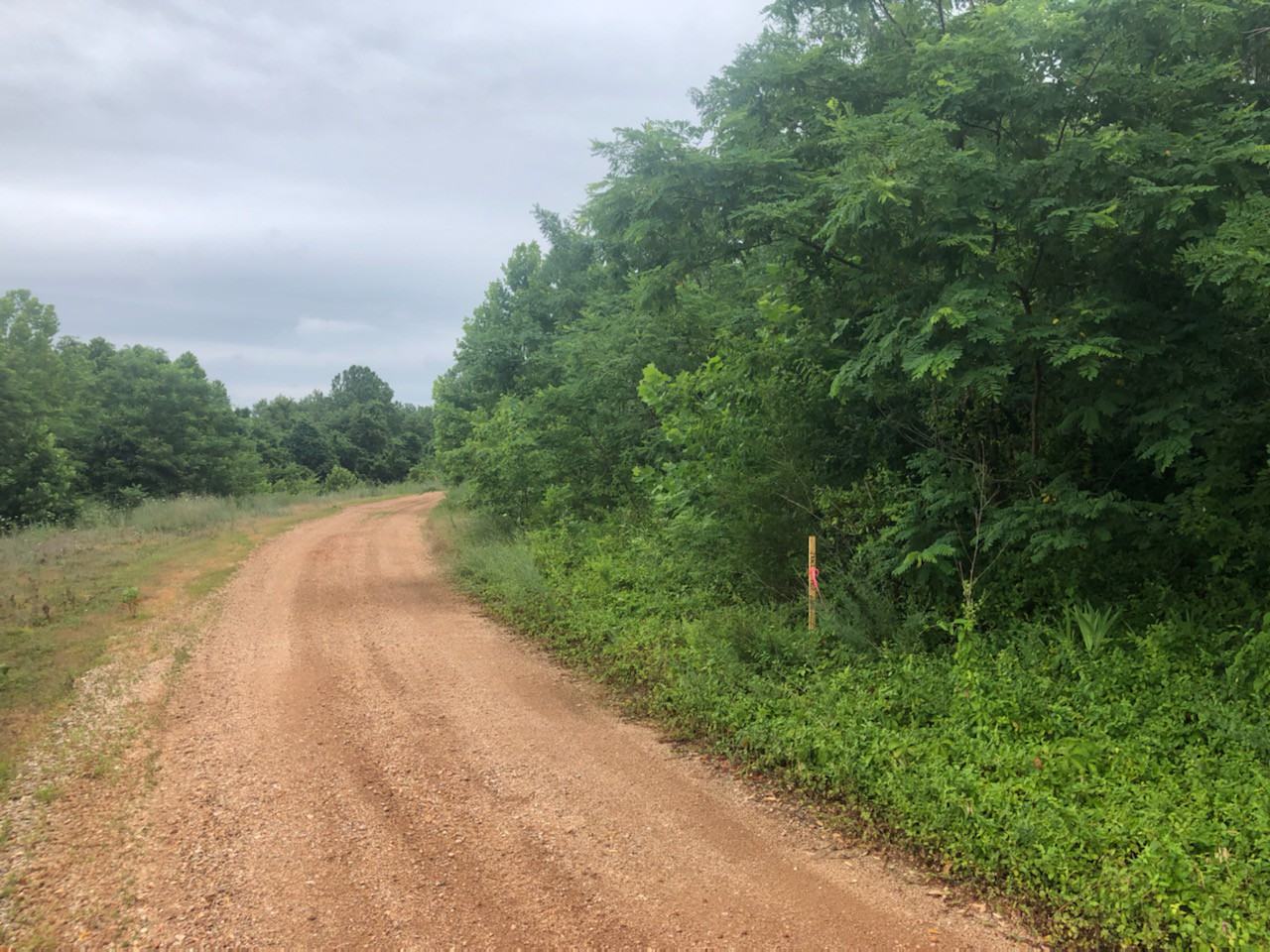 306 Englehart Ln - Photo 3 of 3