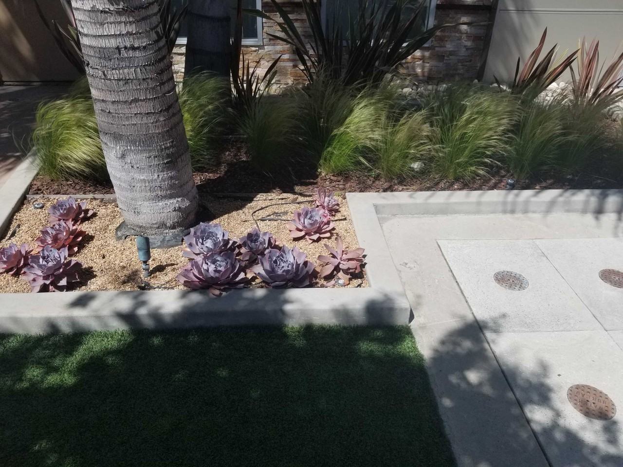 Arch Dr - Photo 2 of 50