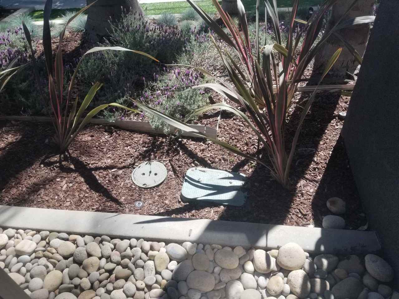 Arch Dr - Photo 6 of 50