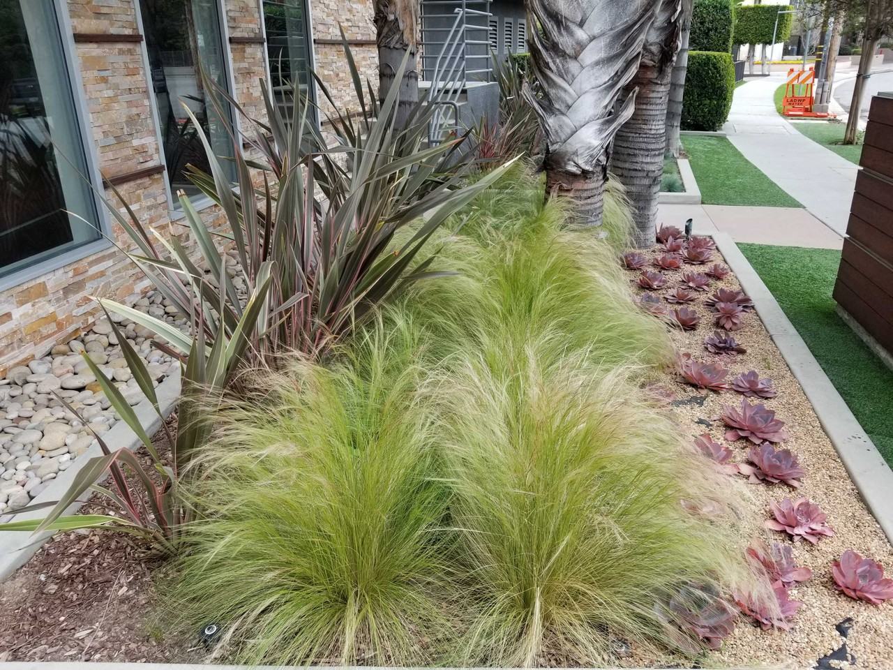 Arch Dr - Photo 2 of 50