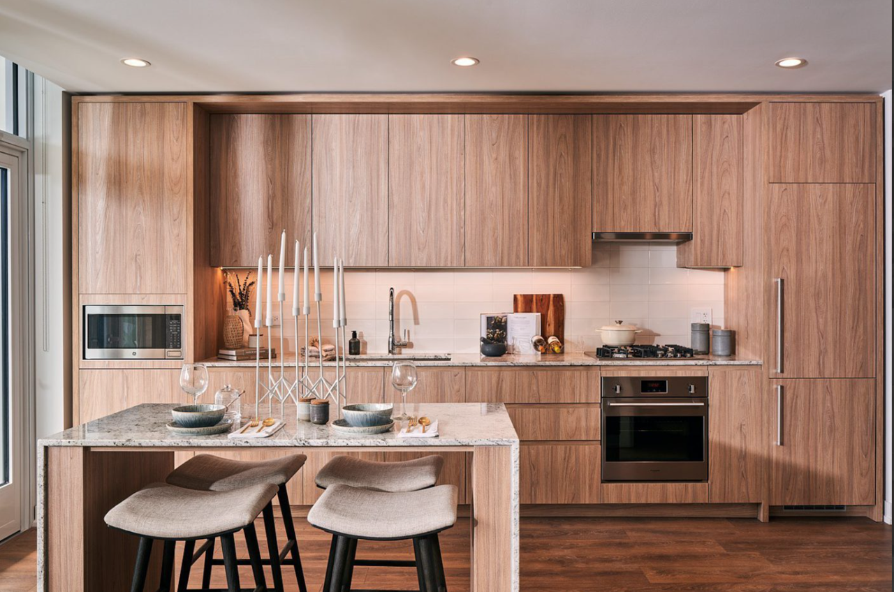 1111 N Wells St #1512