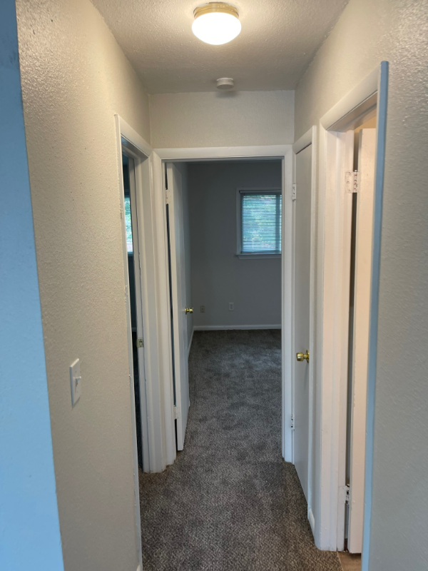 2412 Azalea Garden Rd #210 - Photo 5 of 8