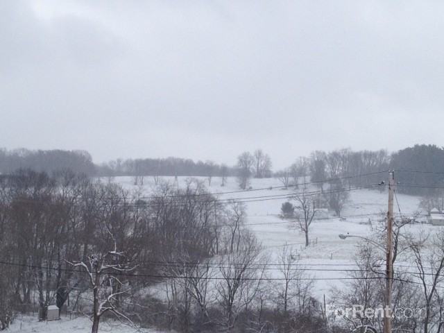 Pine Drive Apartments - Photo 2 of 13