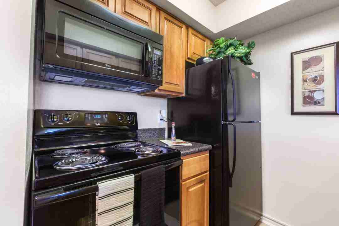 TGM Avalon Lake - Photo 2 of 23