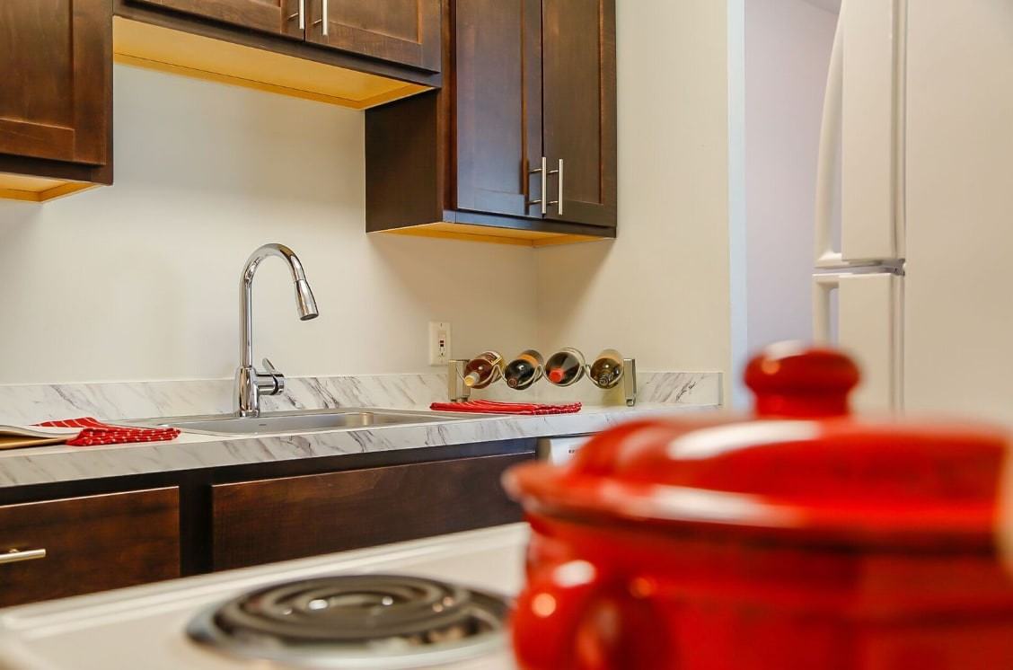 Chestnut Lake Apartments - Photo 2 of 22