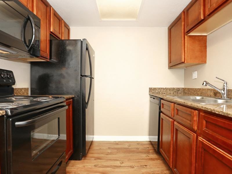 The Vine - Photo 2 of 9