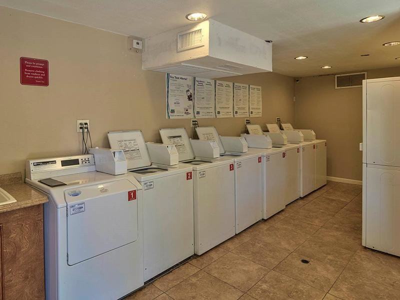 The Vine - Photo 3 of 9