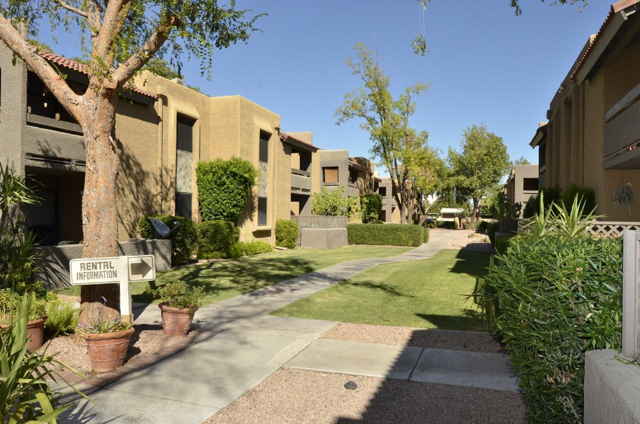 Shadow Ridge - Photo 2 of 17