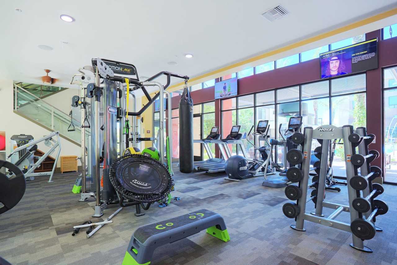 Audere - Photo 2 of 50