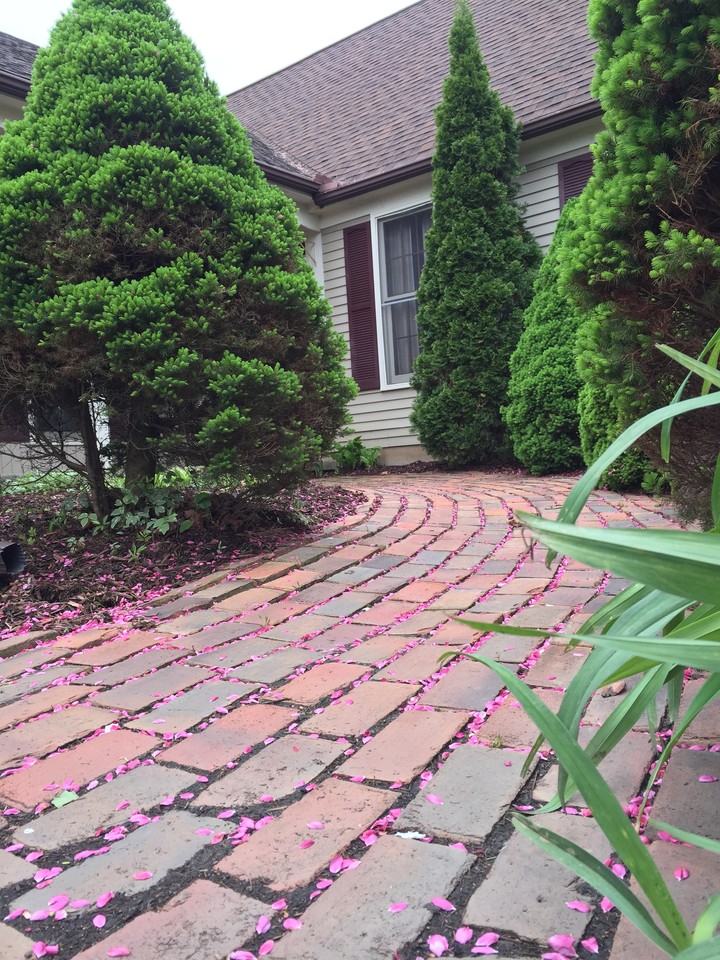 3375 Maybee Rd - Photo 3 of 25