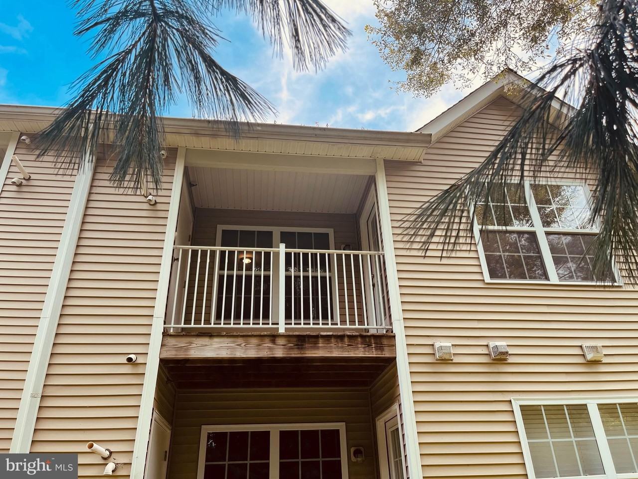 806 Sunflower Way - Photo 3 of 11