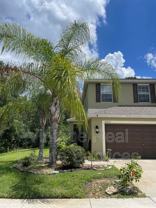 20233 Indian Rosewood Dr - Photo 1 of 1