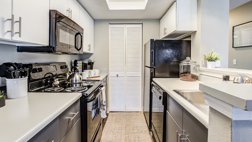 Renew Foothills - Photo 3 of 49