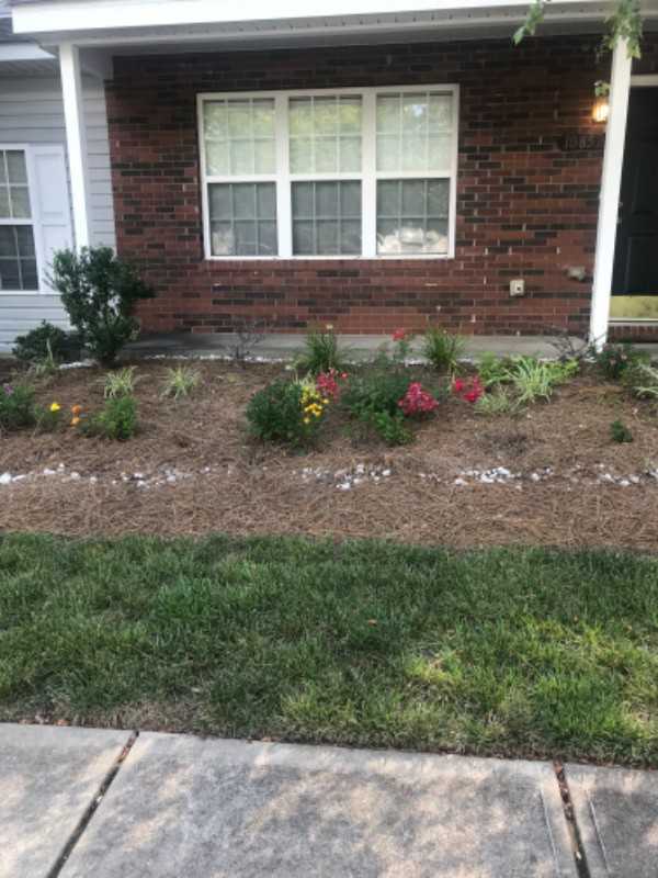 10852 Holly Ridge Boulevard - Photo 2 of 20