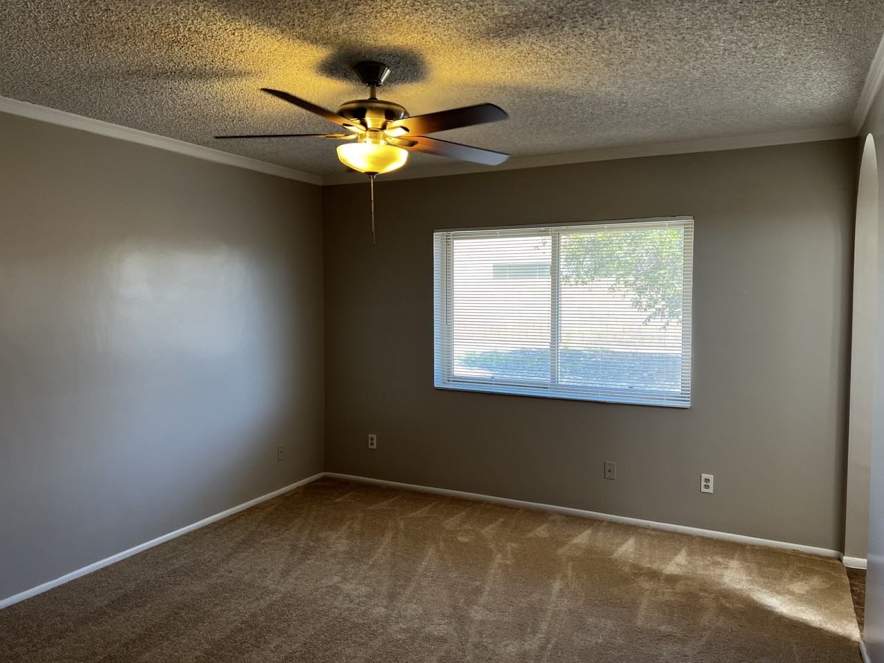 3424 W Aire Libre Ave - Photo 5 of 23