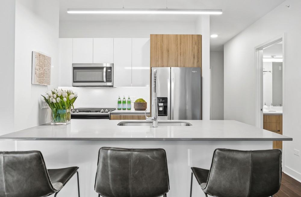 313 W Wolf Point Plz #3-2 - Photo 2 of 28