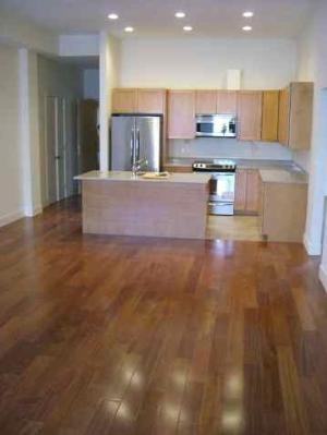 520 Harrison Ave #401