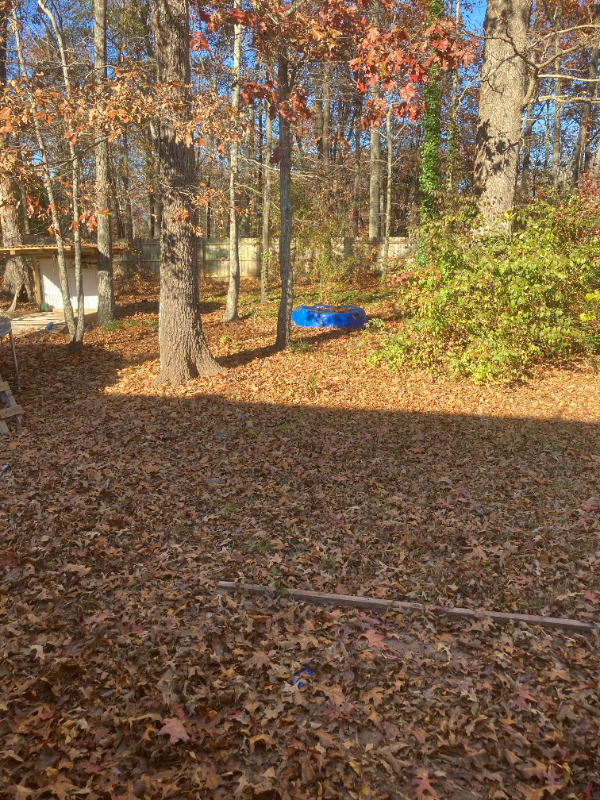 1370 Aiken Rd - Photo 2 of 14