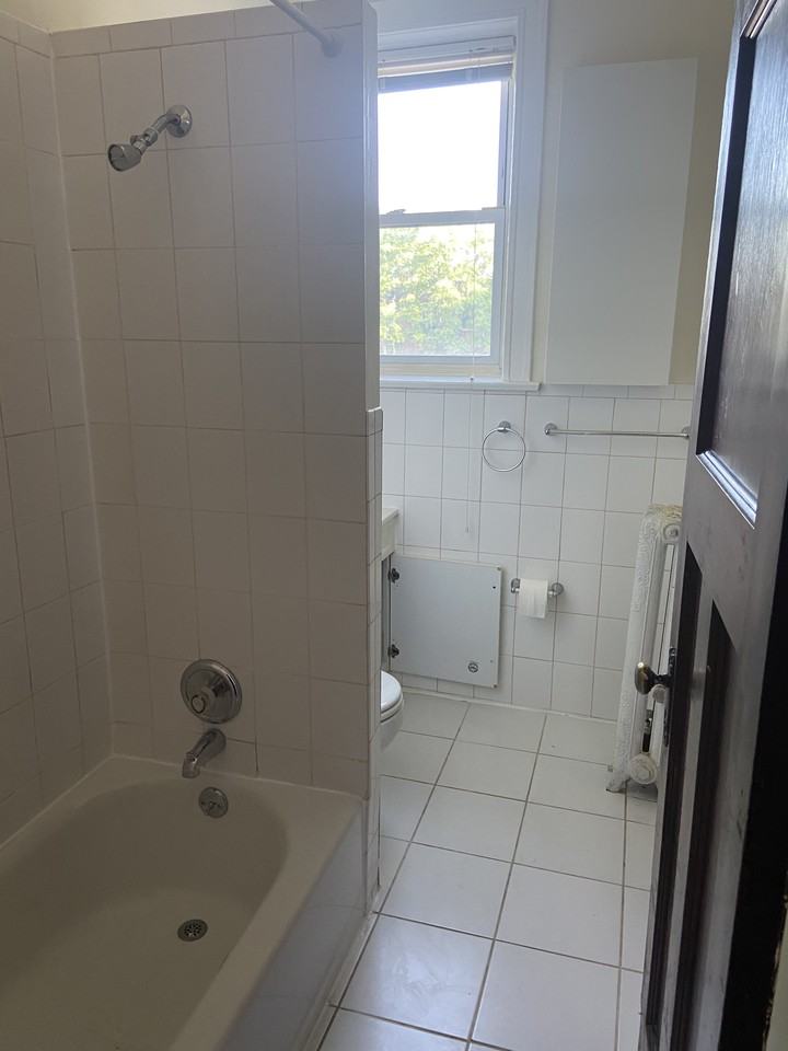 5450 S Kimbark Ave #3N - Photo 3 of 11