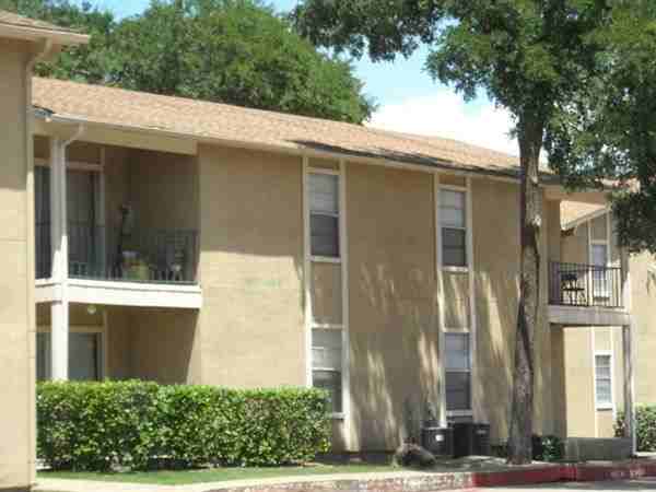 The Woods - Photo 2 of 10