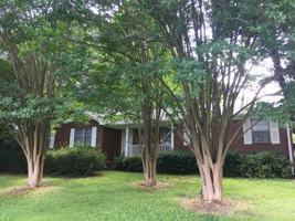 featured image of 965B Winterville Rd