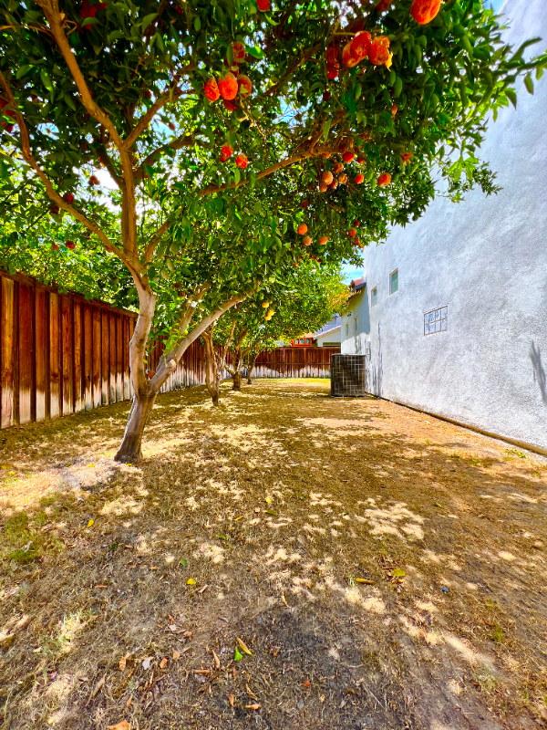 50083 San Solano Rd - Photo 3 of 14