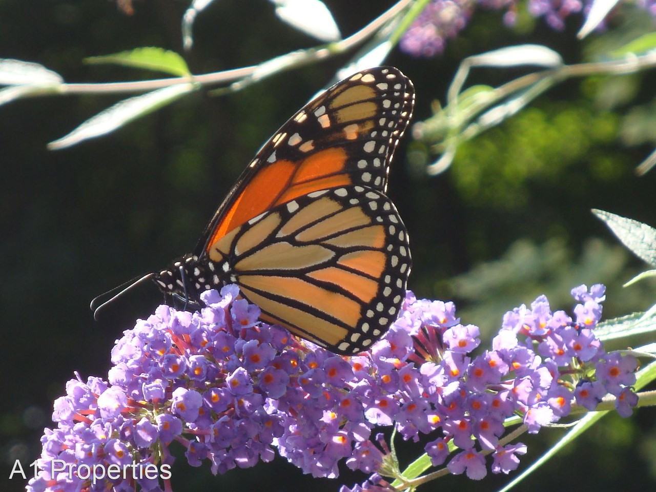 1671 King Street - Photo 2 of 30