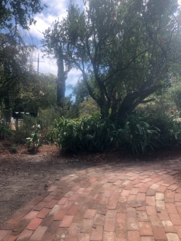 4481 Petaluma Blvd N #A - Photo 3 of 20