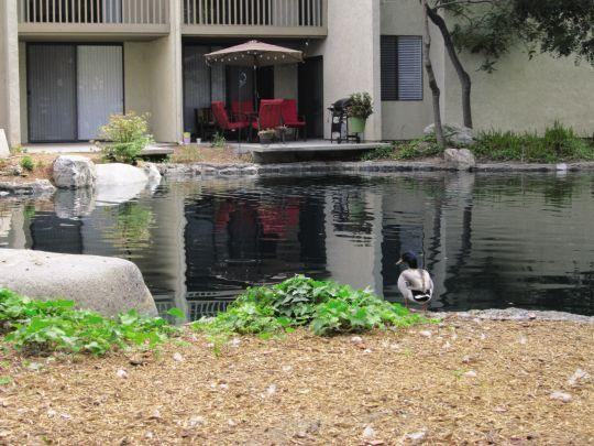 Lake Dianne - Photo 2 of 15