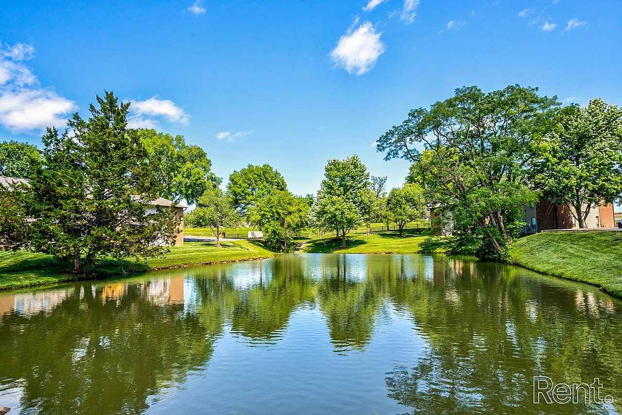 Forest Village - Photo 4 of 24