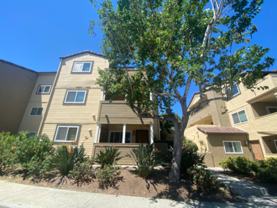 5057 Los Morros Way #110 - Photo 1 of 1