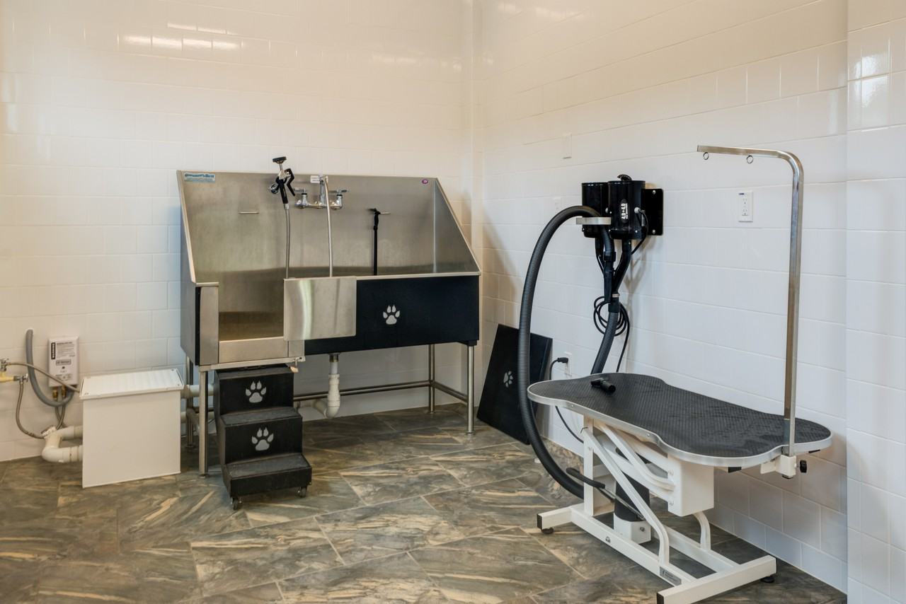 Liberty Mill - Photo 3 of 43