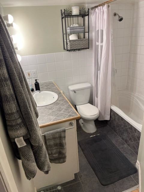 250 Cathcart Street - Photo 3 of 13