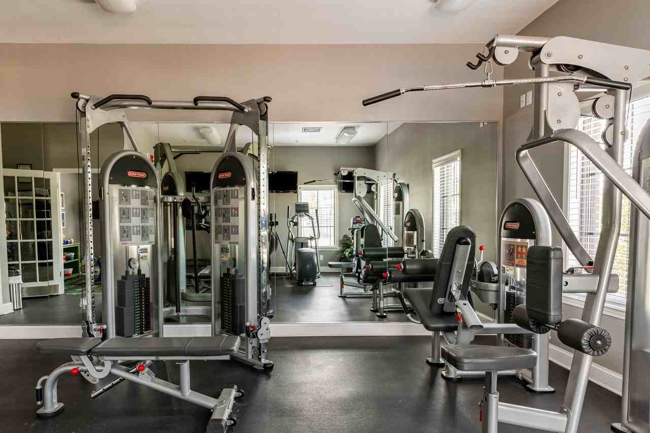 Albany Hill - Photo 6 of 80