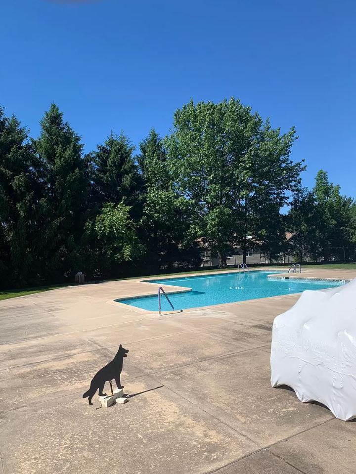 241 Tulip Tree Court - Photo 2 of 10