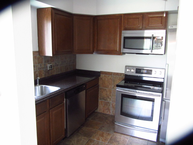 100 W Hickory Grove Rd #B3 - Photo 2 of 9