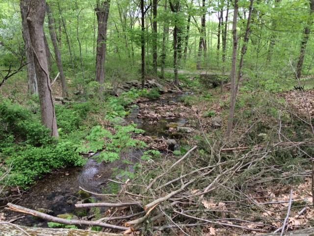 108 Flag Swamp Rd - Photo 3 of 16