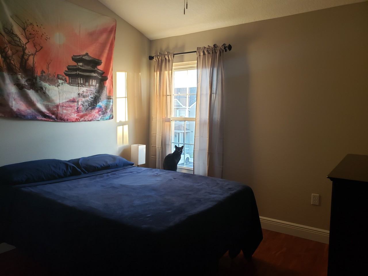 Rooms for Rent in Largo, FL 25 Rentals Zumper