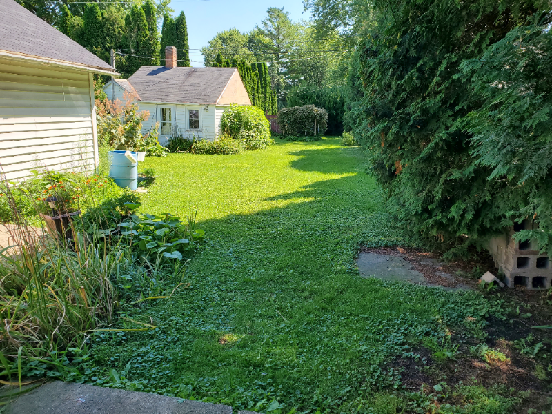 603 S Watertown St - Photo 3 of 16