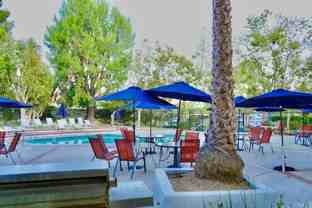 32221 Alipaz St #262 - Photo 1 of 1