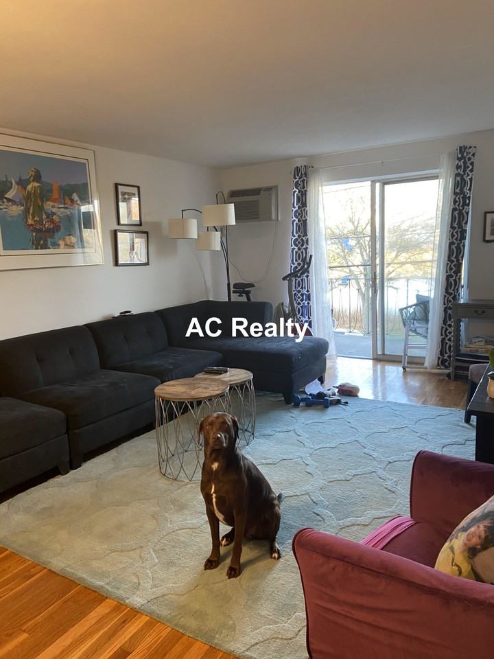 435 Shirley St #36 - Photo 6 of 8