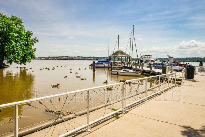 120 Princess St - Photo 7 of 50