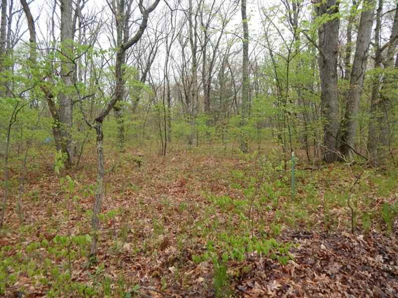 8885 22nd Ave - Photo 2 of 2