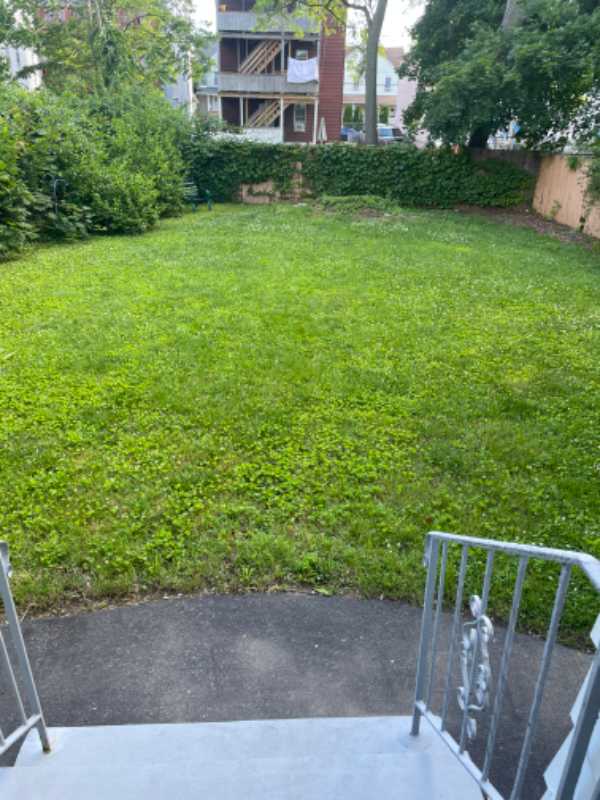 137 Poplar St #1FL - Photo 3 of 3