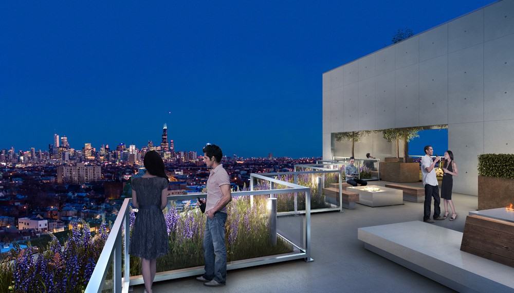 2733 West Belden Avenue #1-1 - Photo 7 of 9